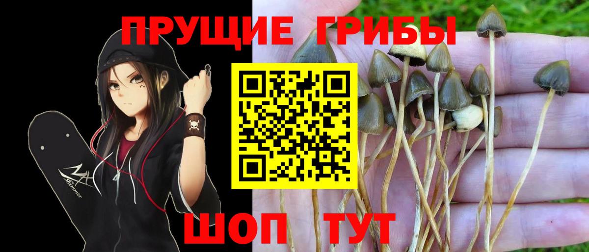 Галлюциногенные грибы прущие грибы Чебоксары
