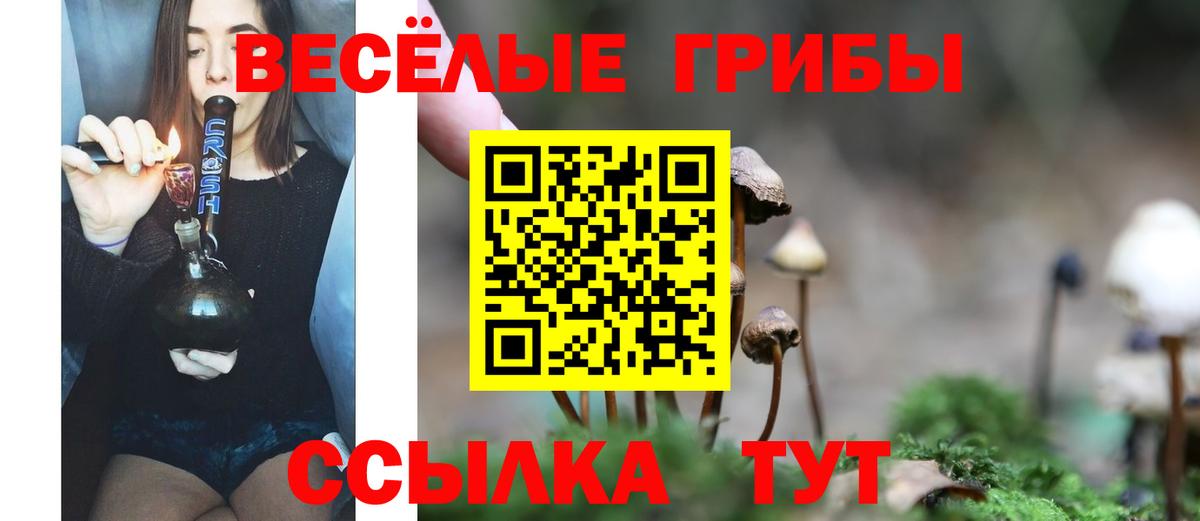 Чебоксары  где купить наркотик  Вход с VPN  Галлюциногенные грибы MAGIC MUSHROOMS 
